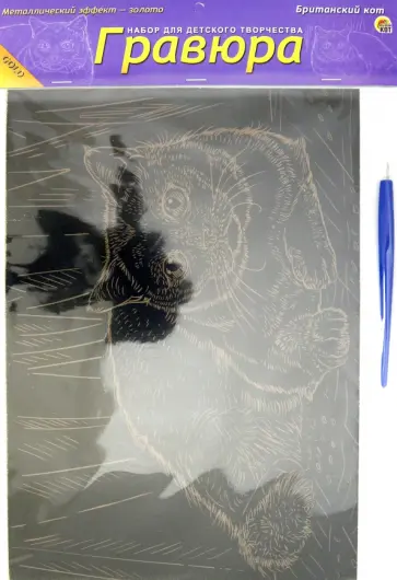 Гравюра А4. Золото. БРИТАНСКИЙ КОТ (Г-6148) Гравюра А4. Золото. БРИТАНСКИЙ КОТ (Г-6148) обложка книги