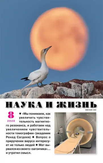 Журнал "Наука и жизнь" № 8. 2020 обложка книги