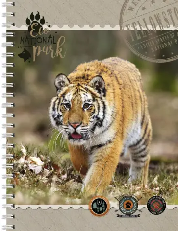 Тетрадь общая "Дикие хищники" (48 листов, А5, клетка, гребень, в ассортименте) (48-4578) обложка книги