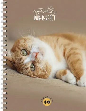 Тетрадь общая "Мурчащие котики" (48 листов, А5, клетка, гребень, в ассортименте) (48-4579) обложка книги