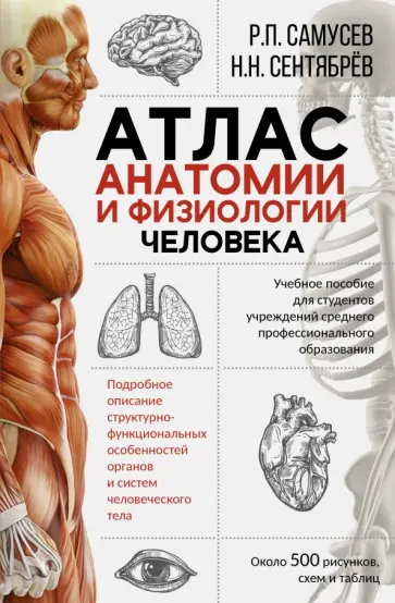Самусев, Сентябрев - Атлас анатомии и физиологии человека. Учебное пособие для студентов учреждений СПО Самусев, Сентябрев - Атлас анатомии и физиологии человека. Учебное пособие для студентов учреждений СПО обложка книги