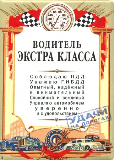 Обложка на автодокументы Водитель экстра класса обложка книги