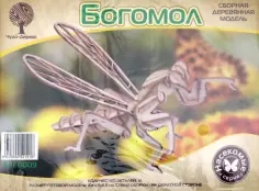 Насекомые