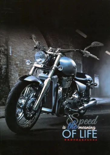 Еженедельник А5 "Скорость" (С1393-65) обложка книги