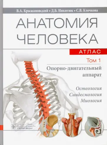 Крыжановский, Никитюк - Анатомия человека. Атлас. В 3-х томах. Том 1. Опорно-двигательный аппарат Крыжановский, Никитюк - Анатомия человека. Атлас. В 3-х томах. Том 1. Опорно-двигательный аппарат обложка книги