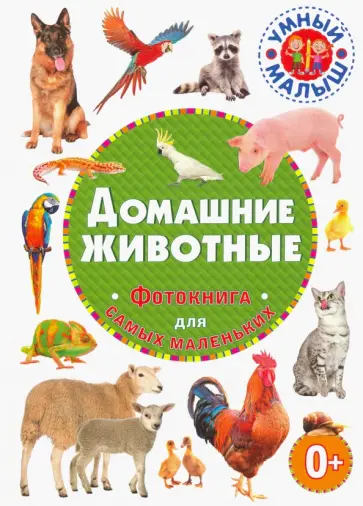 Домашние животные. Фотокнига для самых маленьких Домашние животные. Фотокнига для самых маленьких обложка книги