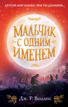 Дж. Воллис - Мальчик с одним именем обложка книги