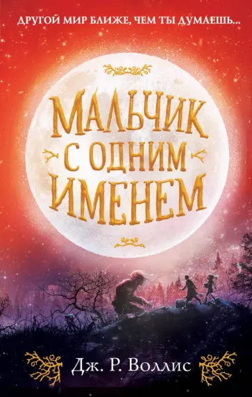 Дж. Воллис - Мальчик с одним именем обложка книги