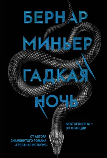 Бернар Миньер - Гадкая ночь обложка книги