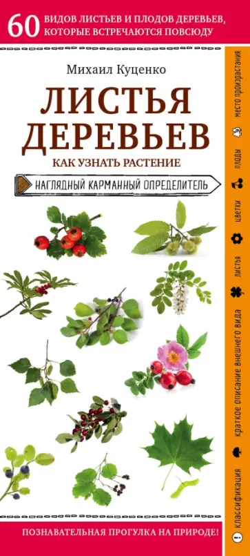 Михаил Куценко - Листья деревьев. Как узнать растение. Наглядный карманный справочник Михаил Куценко - Листья деревьев. Как узнать растение. Наглядный карманный справочник обложка книги