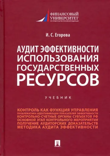 Ирина Егорова - Аудит эффективности использования государственных ресурсов. Учебник обложка книги