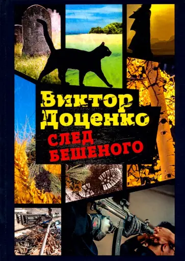 Виктор Доценко - След Бешеного обложка книги