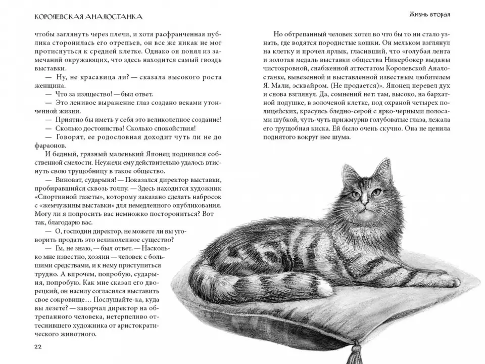 Королевская аналостанка урок 5 класс. Королевская аналостанка краткое содержание. Э. Аналостанка королевская порода кошек. Сетон томпсон королевская аналостанка.