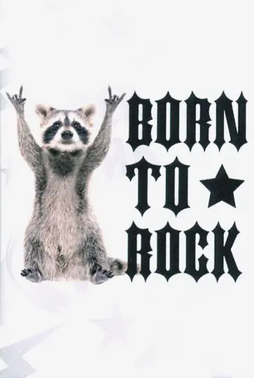 Обложка для паспорта "Енот-рокер" обложка книги