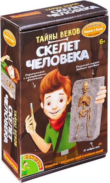 Исторические раскопки "Тайны веков. Скелет человека" (ВВ4790) Исторические раскопки "Тайны веков. Скелет человека" (ВВ4790) обложка книги