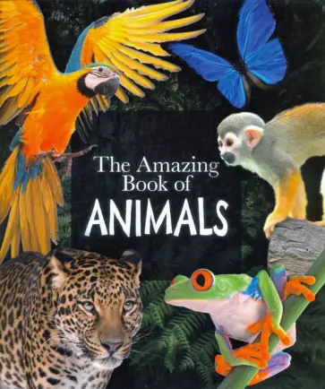 Leach, Lland - The Amazing Book of Animals обложка книги