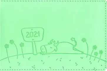 Еженедельник датированный на 2021 год "Bull" (64 листа, 160х105 мм, мятный) (I936emb/mint) обложка книги