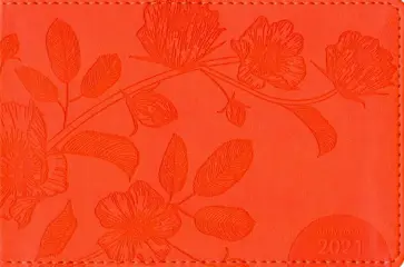 Еженедельник датированный на 2021 год "Sprig" (64 листа, 160х105 мм, оранжевый) (I932emb/orange) обложка книги