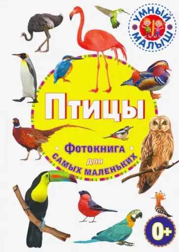 Птицы. Фотокнига для самых маленьких Птицы. Фотокнига для самых маленьких обложка книги