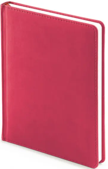Ежедневник недатированный А6+ "VELVET, БОРДОВЫЙ ЯРКИЙ" (3-495/39) обложка книги