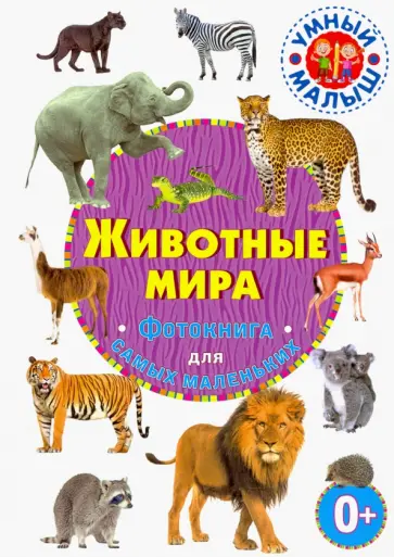 Животные мира. Фотокнига для самых маленьких Животные мира. Фотокнига для самых маленьких обложка книги