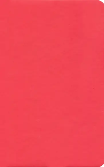 Бизнес-блокнот "Audrey" линия, красный (21222/08) обложка книги