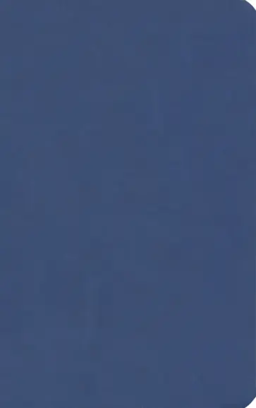 Бизнес-блокнот "Audrey" линия, темно-синий (21222/26) обложка книги