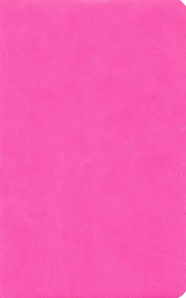 Бизнес-блокнот "Funky" розовый с фиолетовым форзацем (21209/10/11) обложка книги