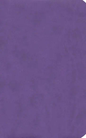 Бизнес-блокнот "Funky. Фиолетовый". С оранжевым форзацем. А5 (21209/11/06) обложка книги