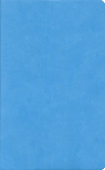 Бизнес-блокнот "Funky" голубой с желтым форзацем (21209/22/03) обложка книги