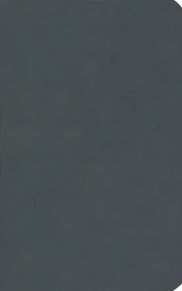 Бизнес-блокнот "Funky" черный с красным форзацем (21209/35/08) обложка книги