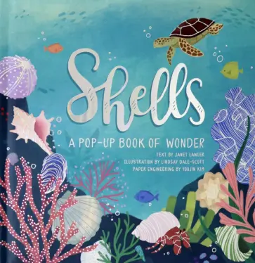 Janet Lawler - Shells. A Pop-Up Book of Wonder обложка книги
