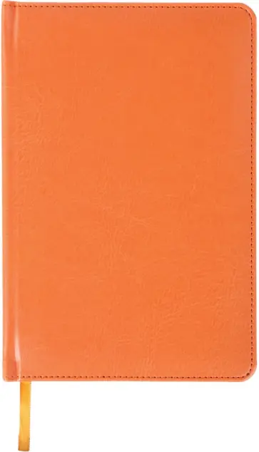 Ежедневник недатированный (136 листов, А6), Rainbow, оранжевый (111688) обложка книги