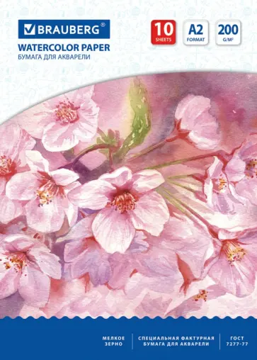 Папка для акварели А2, 10 листов, мелкое зерно Папка для акварели А2, 10 листов, мелкое зерно обложка книги