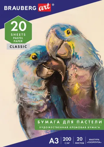 Папка для пастели, 20 листов, А3 обложка книги