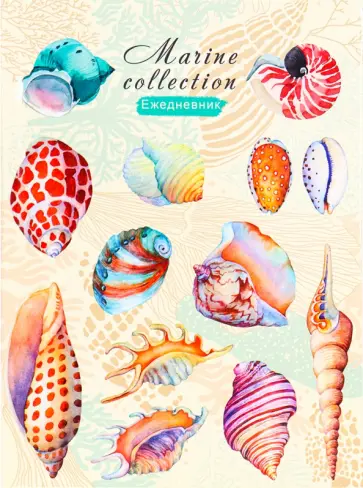 Ежедневник недатированный "Морские ракушки" (128 листов, А5) (128-1364) обложка книги