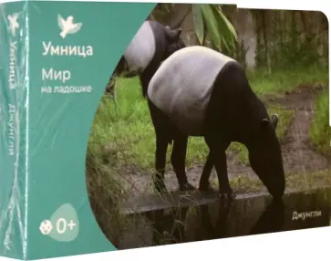 Мир на ладошке. Джунгли Мир на ладошке. Джунгли обложка книги