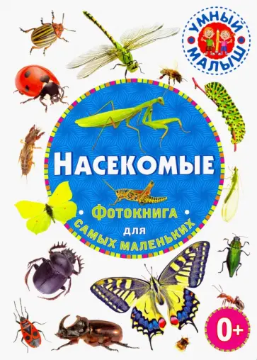 Насекомые. Фотокнига для самых маленьких Насекомые. Фотокнига для самых маленьких обложка книги