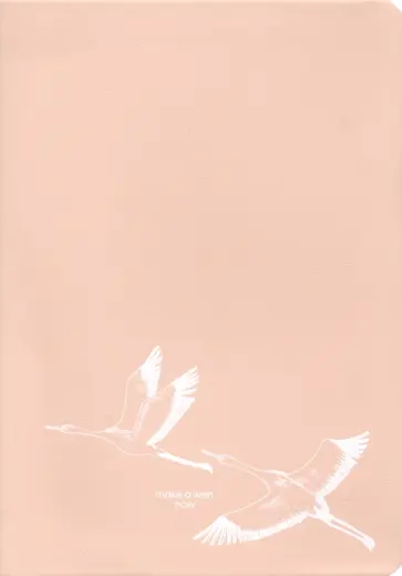 Ежедневник недатированный 96 листов, А5 "Wish, розово-бежевый" интегр. (AZ1111/pink) обложка книги