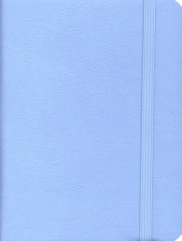 Ежедневник недатированный (152 листа, А6), Reference. Голубой (ЕИКР62115206) обложка книги