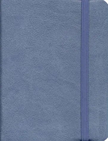 Ежедневник недатированный (152 листа, А6), Reference. Деним (ЕИКР62115202) обложка книги