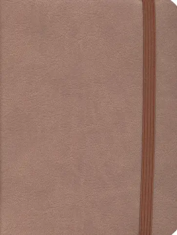 Ежедневник недатированный. Reference. Какао. 152 листа, А6 (ЕИКР62115201) обложка книги