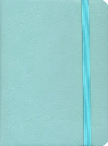 Ежедневник недатированный. Reference. Мятный. 152 листа, А6 (ЕИКР62115205) обложка книги