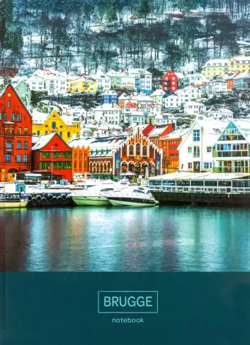 Книга для записей 160 листов, А4 "Зимний город" (КЗ41603250) обложка книги