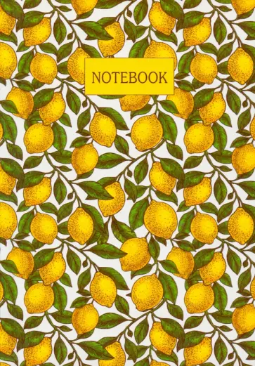 Книга для записей 80 листов, А6+ "Сочное настроение" интегральный переплет (ЕТИ680307) обложка книги