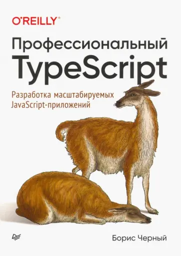 Борис Черный - Профессиональный TypeScript. Разработка масштабируемых JavaScript-приложений обложка книги
