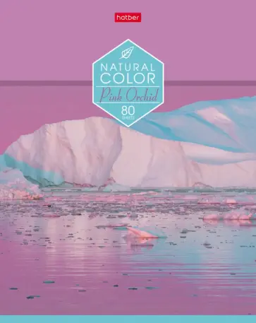 Тетрадь 80 листов, линия "Colour" ассортимент (80Т5В2) обложка книги