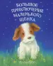 Миниатюра 1