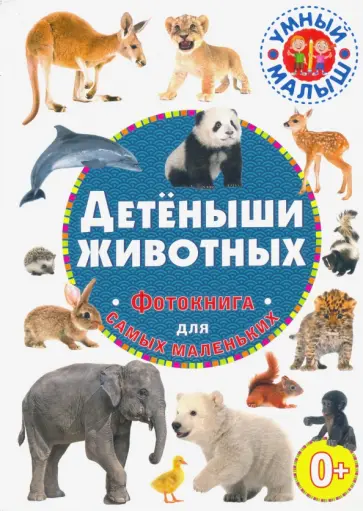 Детёныши животных. Фотокнига для самых маленьких Детёныши животных. Фотокнига для самых маленьких обложка книги