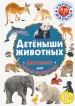 Миниатюра 1